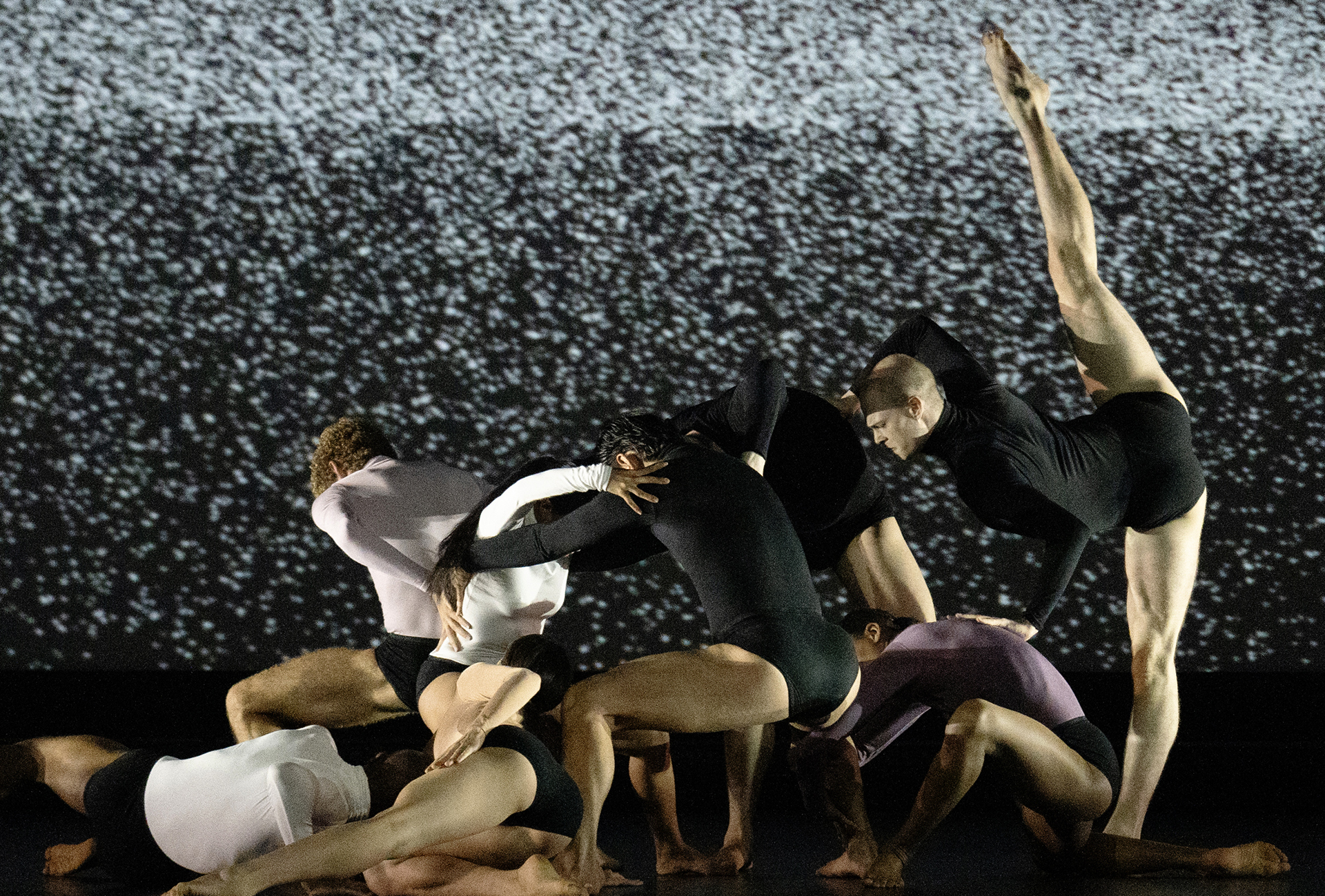 We Humans Are Movement, Biennale College Danza dancers and Company Wayne McGregor. Photo credit: Ravi Deepres, courtesy la Biennale di Venezia, 2024